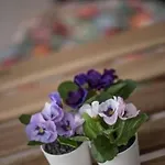 Elegante Penthouse-wohnung Mit Seeblick By Interhome Appartamento