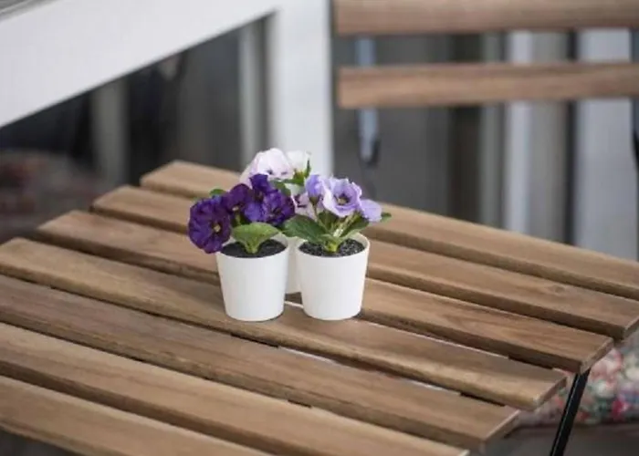 Elegante Penthouse-wohnung Mit Seeblick By Interhome *