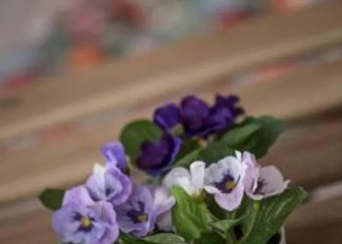 Elegante Penthouse-wohnung Mit Seeblick By Interhome Appartamento